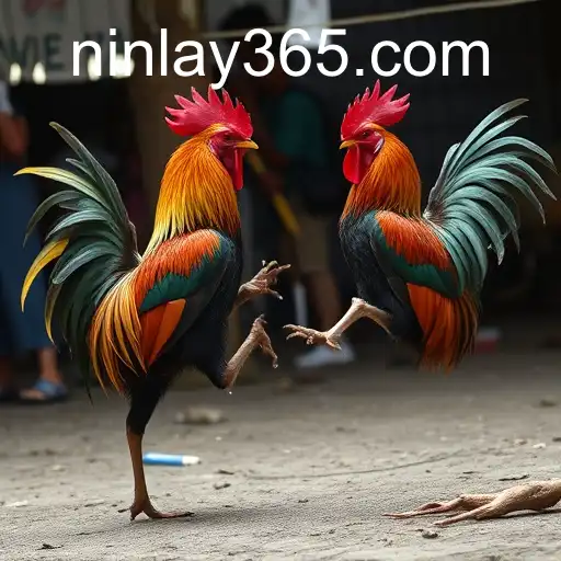 Security and Trust Ninlay - International Licenses and Certifications