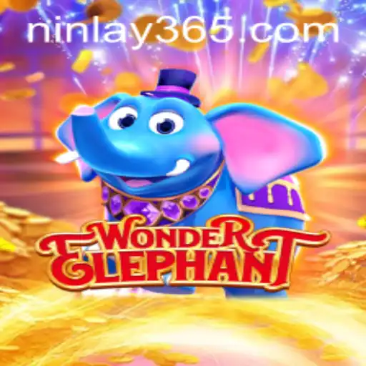 Unveiling WonderElephant: A Journey Through the Enchanting World of Ninlay
